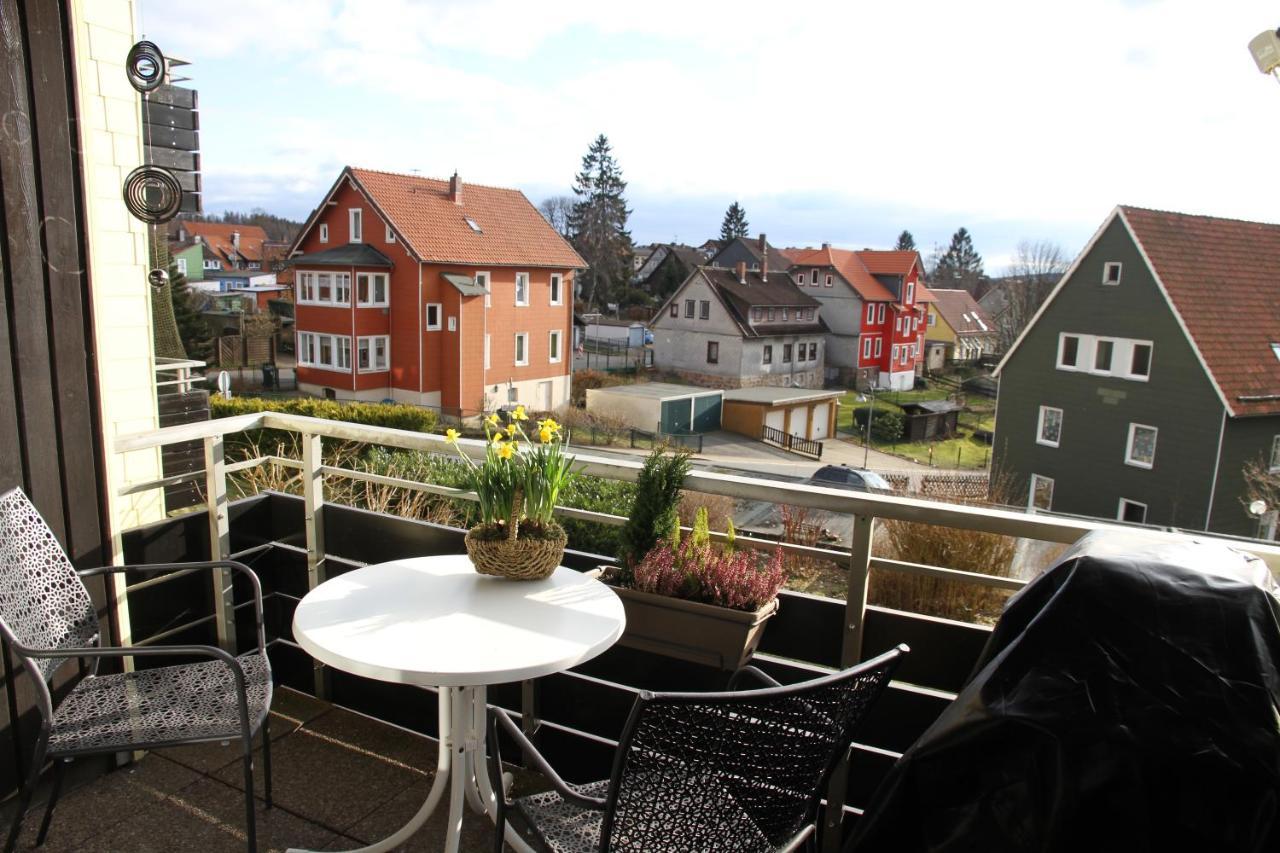 Apartment Am Kurpark Sankt Andreasberg Dış mekan fotoğraf