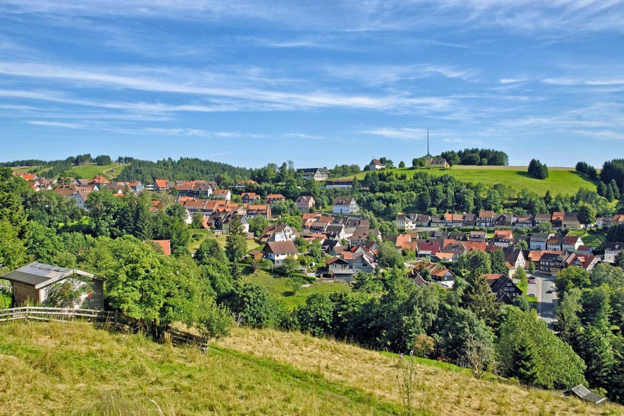 Apartment Am Kurpark Sankt Andreasberg Dış mekan fotoğraf